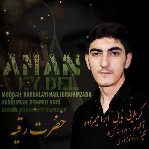 نایل ابراهیمزاده امان ای دل